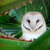 Starting a business over 50