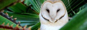 Starting a business over 50