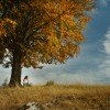 mindfullness