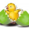 chick and broken shell