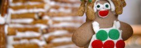 gingerbread woman