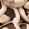 life is too short to stuff a mushroom