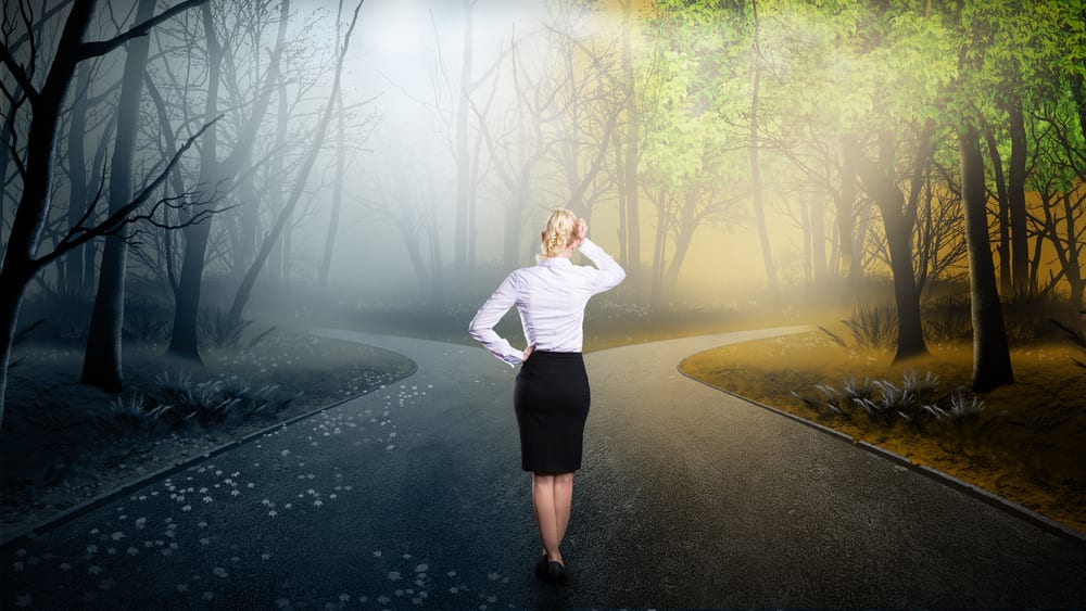 What to do when you get to a crossroads with your business - Prowess