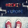 What does a no-deal Brexit mean for your ecommerce store? Student standing above the sign for brexit or Europe